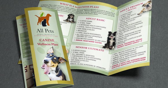 Veterinary Brochure